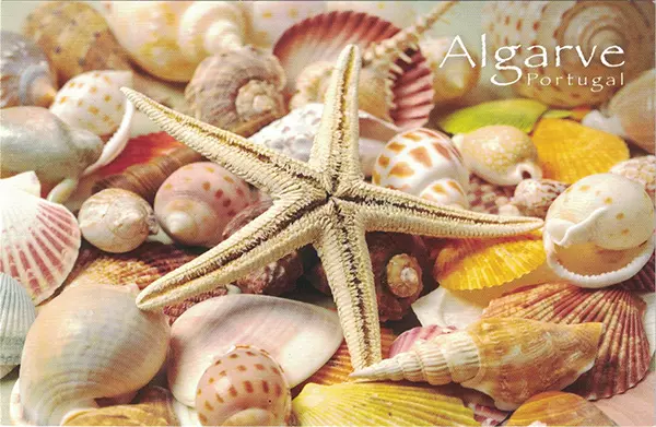 Algarve - Conchas e Estrela do Mar