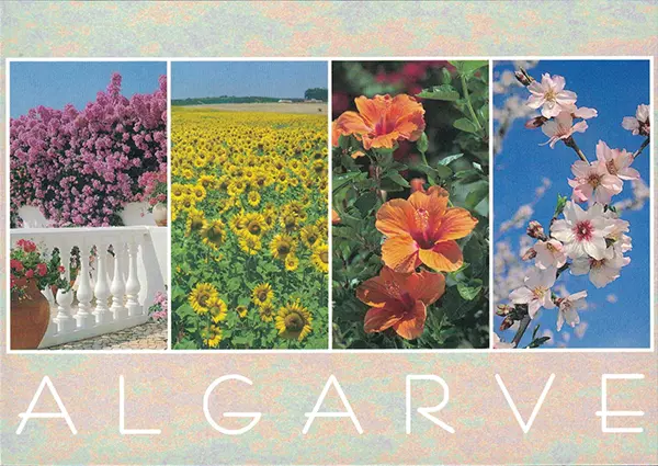Algarve - Múltiplas Vistas (Flores Lilases / Girassóis / Flores Vermelhas / Flores de Amendoeiras)