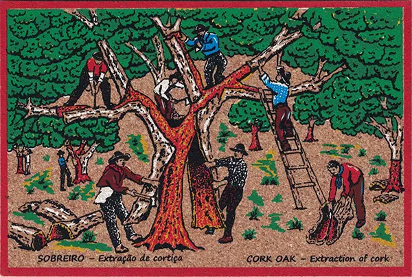 Sobreiro - Extração de Cortiça